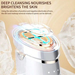 6 In 1 EMS Face Facial Massager